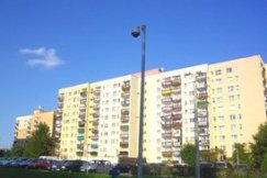 Specjalny zespół w Straży Miejskiej