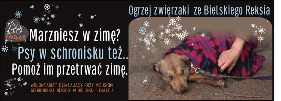 Zbiórka przed zimą stulecia