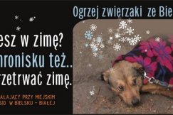 Zbiórka przed zimą stulecia