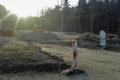 Nadleśnictwo udostępnia las