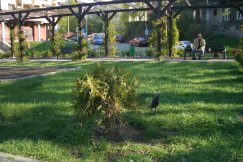 Bielszczanie sypią projektami