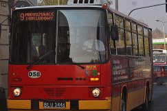 Trzy nowe linie autobusowe MZK