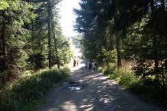 Zachowaj to, co najpiękniejsze - konkurs