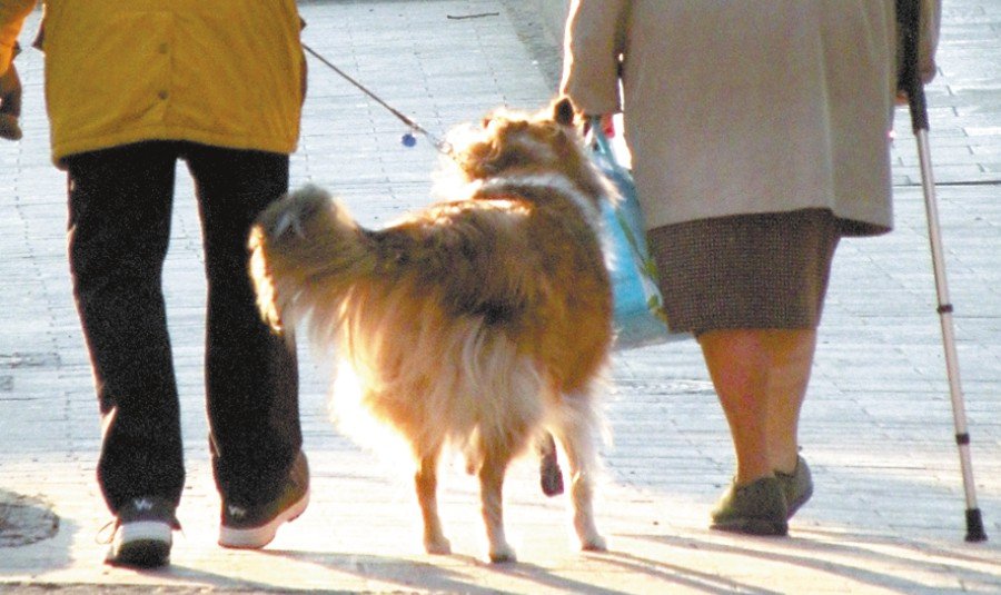 Bez smyczy ani rusz