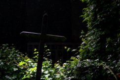 Przywracają do życia stary cmentarz