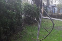 Złamana pamięć - foto