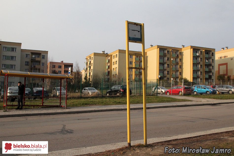 Zapomniani piesi osiedla Langiewicza? - foto