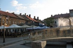 Znów ogródki wyrosną na Rynku