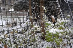 Śnieg wraca w góry