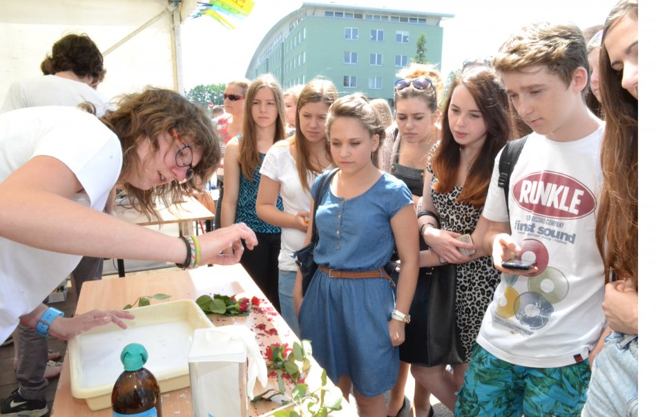 Festiwal dla bielszczan na Błoniach