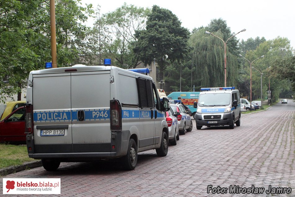 Pięć radiowozów w akcji - foto