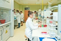 Szybciej znajdą dobrą pracę?