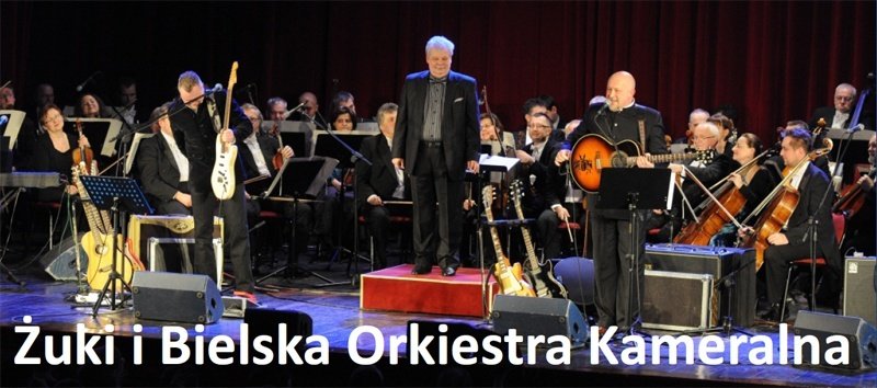 Dziś spotkamy się w parku