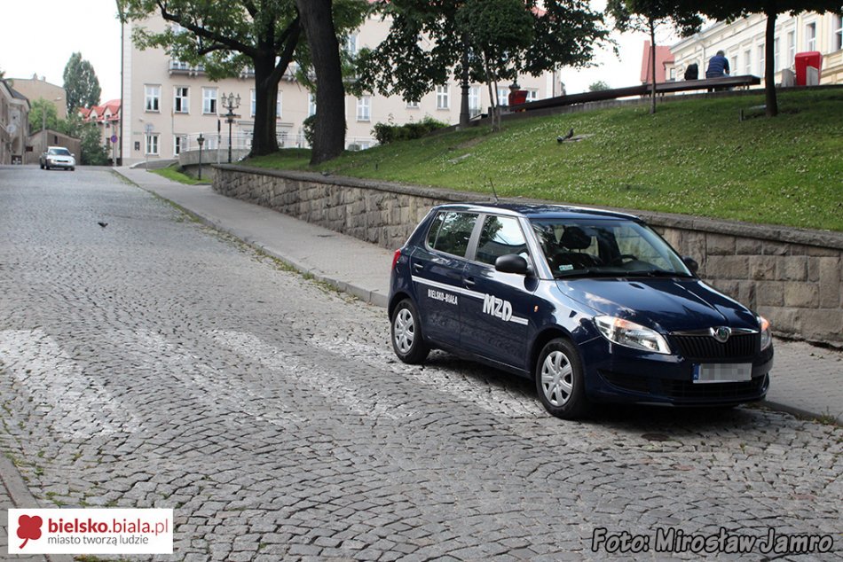 Samotnik na przejściu dla pieszych - foto