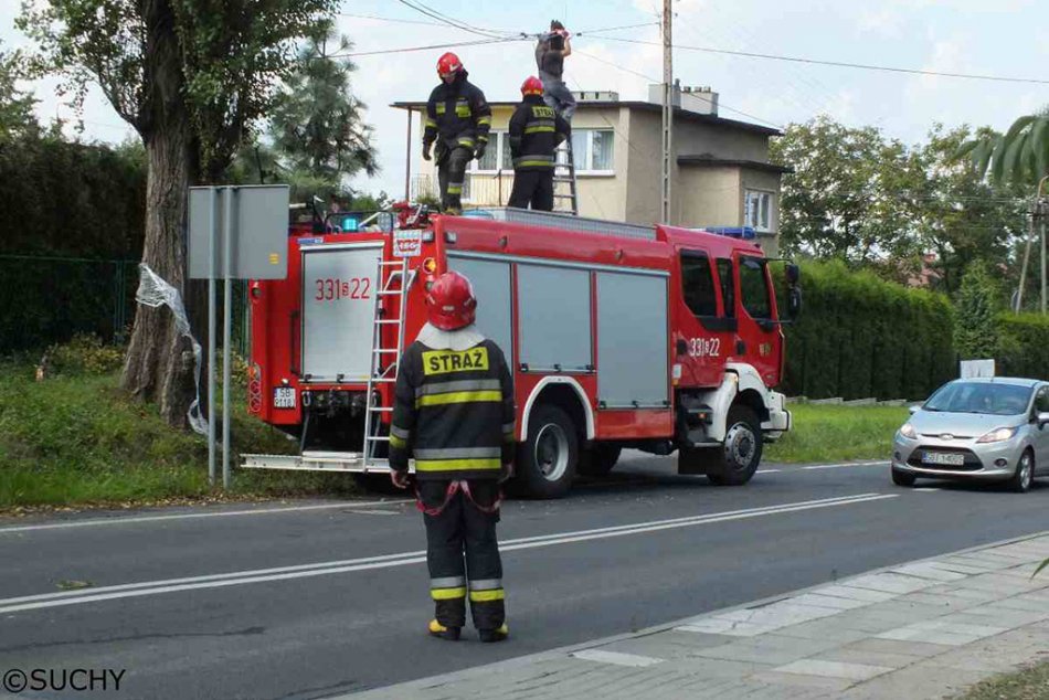 Zwisający przewód telekomunikacyjny - foto