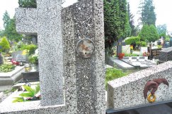 Cmentarne złodziejstwo