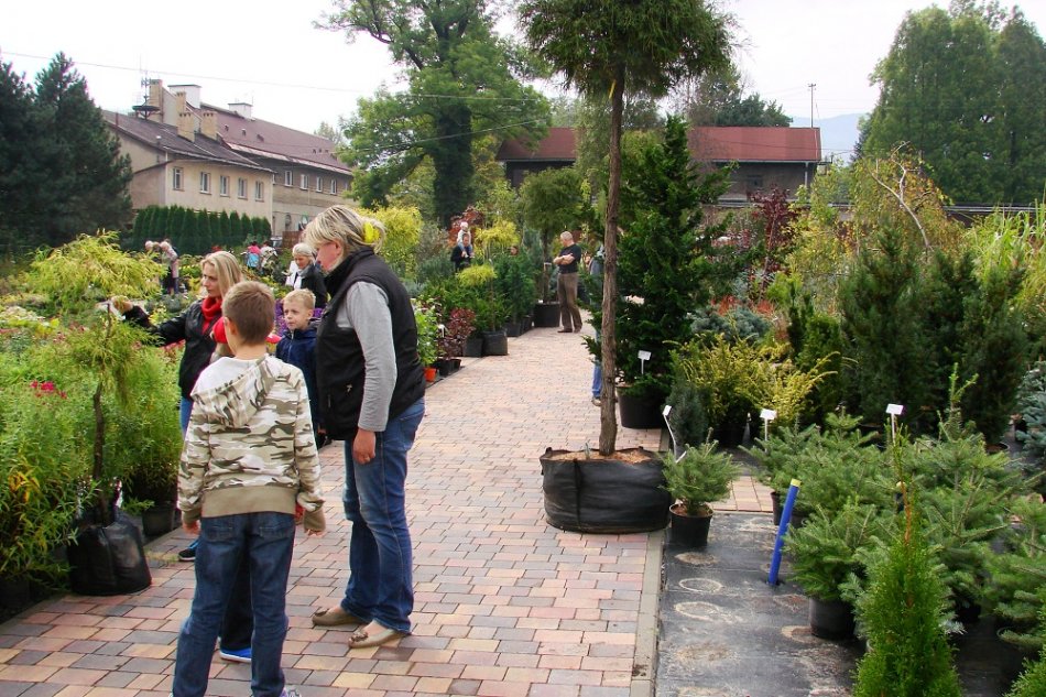 Pokazowy ogród w mieście - galeria