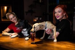 Pozowali w towarzystwie zwierząt - foto