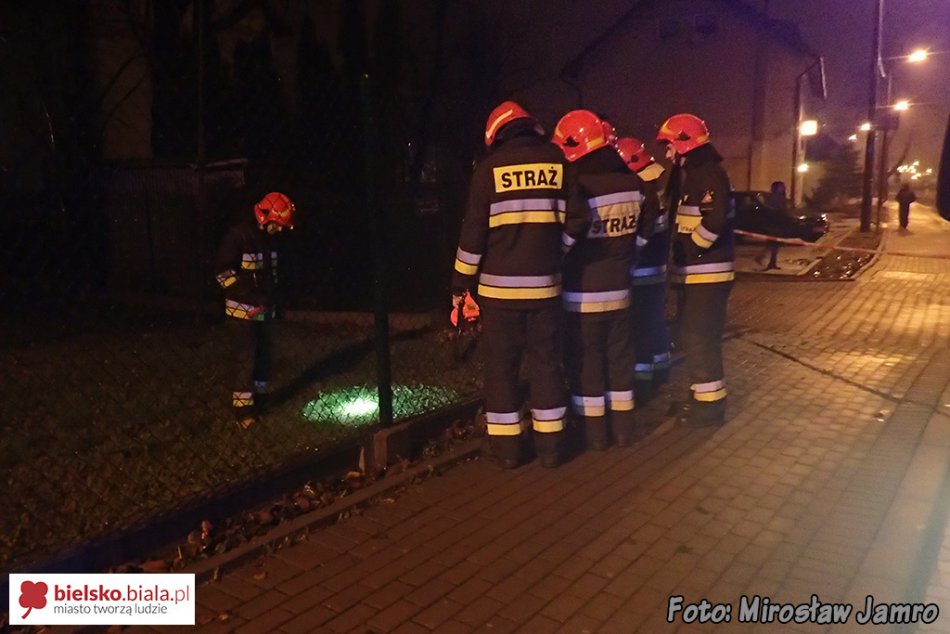 Dwa wyjazdy plutonu chemicznego - foto