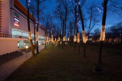 Tysiące lampek w parku - foto
