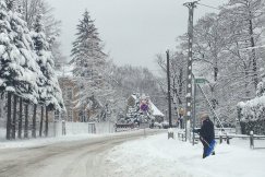 Synoptycy ostrzegają przed mrozem