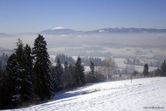 Kapuściane góry pokazują pazur