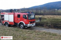 Pożar nieużytków w Kozach - foto