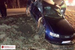 Jazda zakończona na drzewie - foto