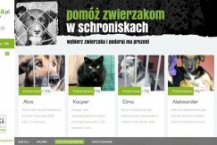 Pomożesz im przez internet