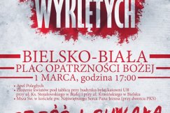 Marsz patriotów, z kibicami