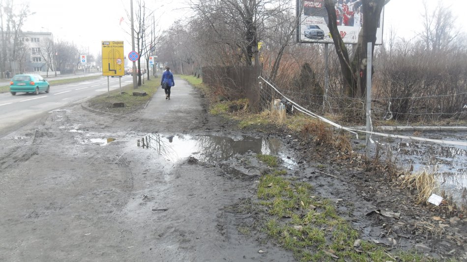 Zaniedbana wizytówka Bielska-Białej - foto