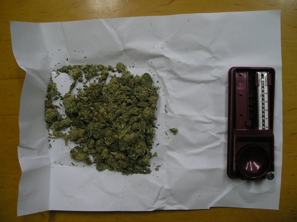 Marihuana w majtkach