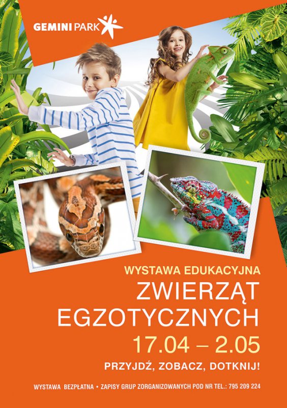 Groźne gady w centrum handlowym