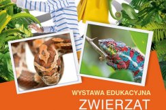 Groźne gady w centrum handlowym