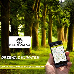 Nowa aplikacja dla podróżników