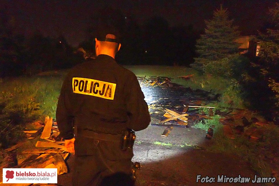 Pożar drewna na opał - foto