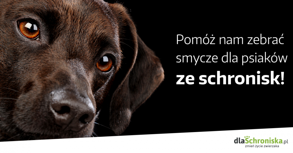 Każdy może kupić smycz