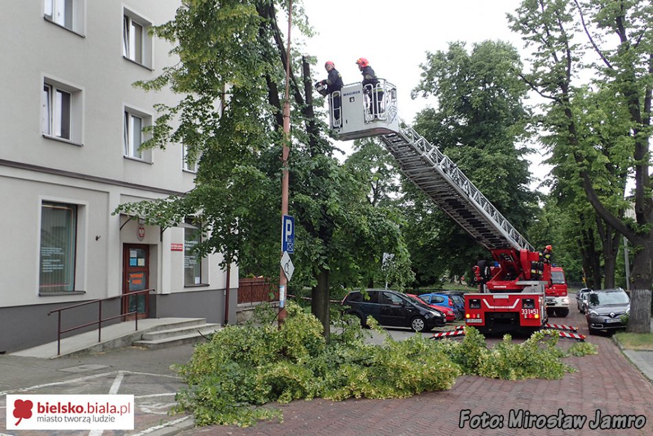 Odłamany konar zagrażał bezpieczeństwu - foto