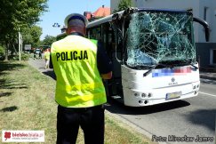 Autobus uderzył w drzewo - foto