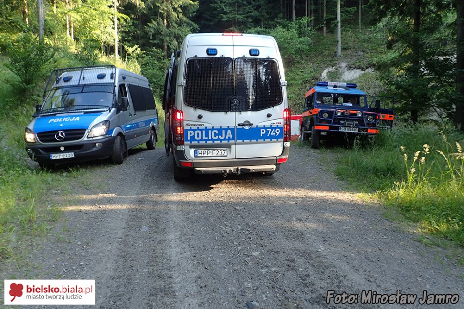 Znów podpalono las! - foto
