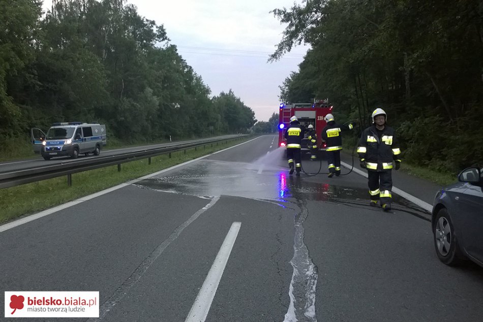 DK1: potrącenie ze skutkiem śmiertelnym