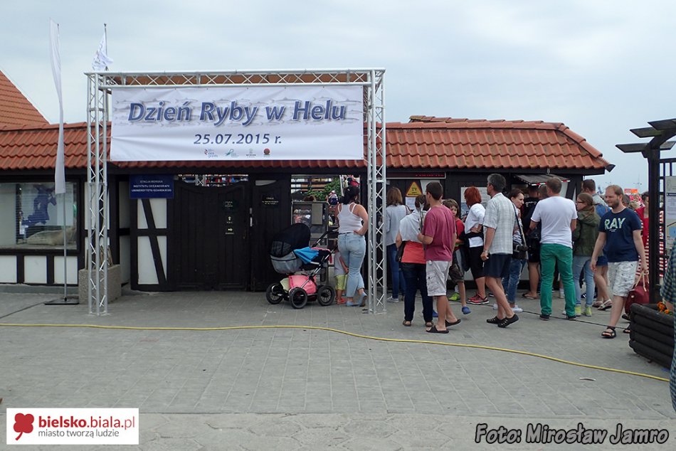Ryba z Wilkowic na Helu - foto