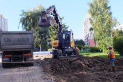 Kara za nielegalną wycinkę