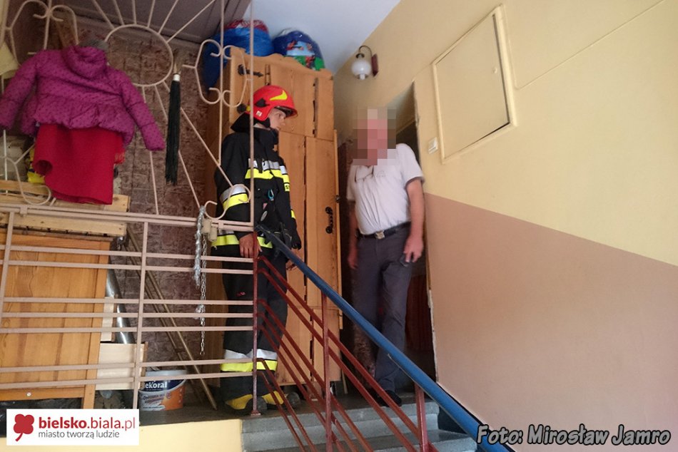 Zapomniał o posiłku - foto