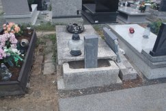 Hiena cmentarna pod kluczem