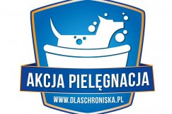 Pomożesz bez wychodzenia z domu