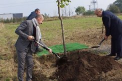 SITA zaczęła kopać przy Krakowskiej