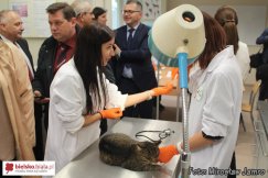 Nowa weterynaria w Ogrodniku - foto
