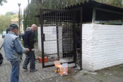 Na Karpackim założyli kraty - foto