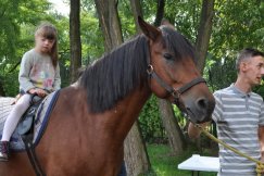 Przybywa uratowanych koni